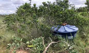Imagem: Fazenda em Carmo do Paraíba MG