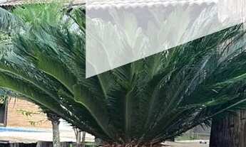 Imagem: Casa à venda em condomínio Imperial Park