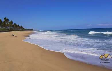 Imagem 2: Lotes Reserva Sauípe - Costa do Sauípe - Linha Verde