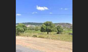 Imagem 4: Terreno BR 101 São Miguel dos Campos