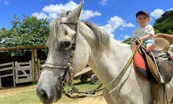 Imagem 3: Vende linda chacara próxima a ipatonga