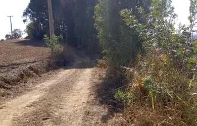 Imagem 3: Chácara pangaré