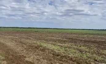 Imagem 3: Arrendamento - Soja - São Borja/RS - 80ha - a 5km da cidade - Valor por ano: 15scs p/ha