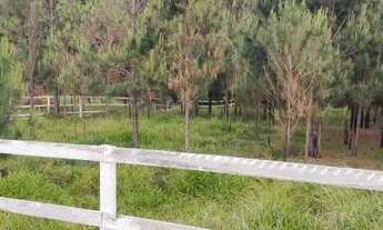 Imagem: Sítio a venda