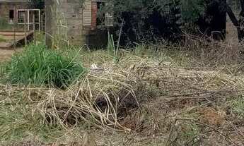 Imagem 3: Lote Mateus Leme