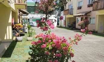 Imagem 3: Mundo encantado da Alice !! agora sera o seu lar