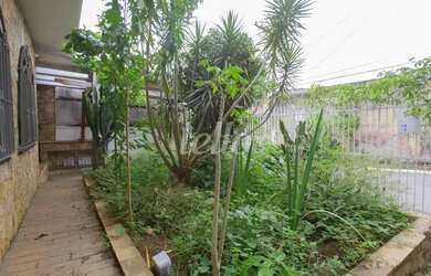 Imagem 3: São Paulo - Casa Padrão - São Lucas