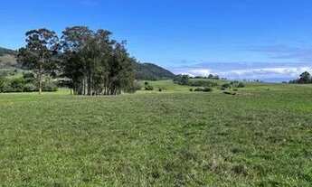 Imagem 2: Campo para pecuária em Taquara RS