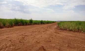 Imagem: FAZENDA COM 206 ALQUEIRES EM GUZOLÂNDIA