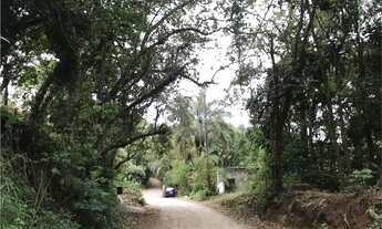 Imagem: Terreno à venda em Roseira - SP