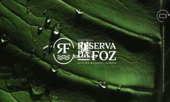 Imagem 2: Reserva da Foz Lotes rentre o rio e o mar, na Rota Ecológica dos Milagres