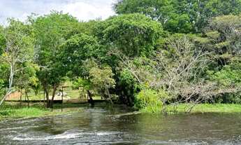 Imagem: Vendo Sitio na Comunidade Santa Luzia (Puraquequara)