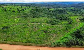 Imagem 6: Fazenda à Venda 56 Alqueires