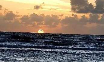 Imagem 5: Vendo sítio no miai em Coruripe!