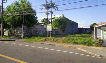 Imagem 3: Terreno 540 m Centro - Pinhais - PR