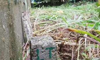 Imagem 5: Terreno de 1.119m2 em condomínio, (12km do trevo para Aparecida do Rio Negro