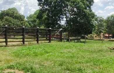 Imagem 2: Fazenda 71 alqueires em Barro Ato Goiás