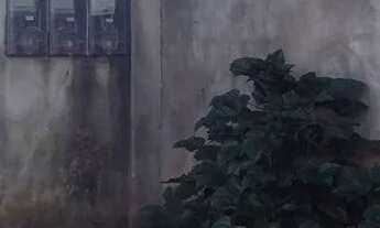 Imagem 2: Vende-se casa no bairro da paz