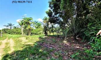 Imagem 5: Fazenda Sítio Chácara Estrada de Janauary KM 13 Ramal Boa Fé Iranduba 22.500m²