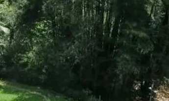 Imagem 4: Casa para Venda e Locação, Valparaíso, Petrópolis, RJ