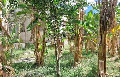 Imagem 6: OPORTUNIDADE IMPERDÍVEL - TERRENO EM ÁREA NOBRE DE IGUABA GRANDE