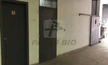 Imagem 4: Galpão comercial frigorífico no bairro Bela Vista em São Paulo- SP