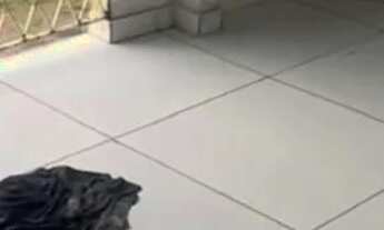 Imagem 7: CASA PRA VENDER Casa com 1 dormitório