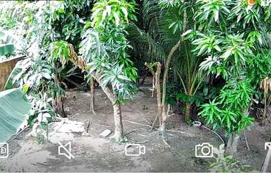 Imagem 3: Vendo casa em fase de construção