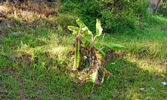 Imagem 5: Casa Casa com 3 dormitórios