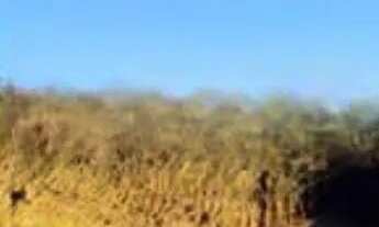 Imagem: TERRENO URBANO COM 1420m²