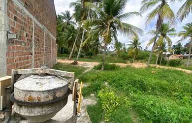Imagem 6: Lote à venda em rua pública, TATUAMUNHA, Porto de Pedras, AL
