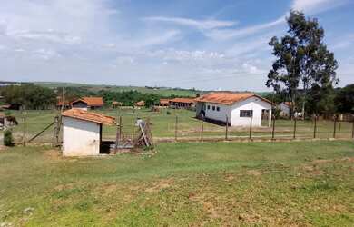 Imagem 2: Vende-se Granja de Frangos em Elias Fausto