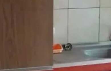 Imagem: Apartamento em Santa Maria Goretti