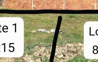 Imagem 3: Vendo 2 terrenos