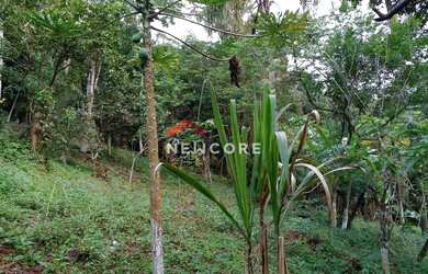 Imagem 4: Chácara em Estrada do Yamamoto, 10A - Alvorada - Biritiba Mirim/SP