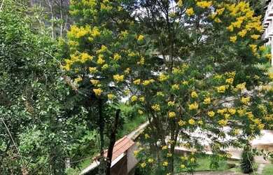 Imagem 4: Casa à venda na Fazenda Inglesa, 2 pavimentos , 3 quartos (2 suítes) e 2 suítes externas!