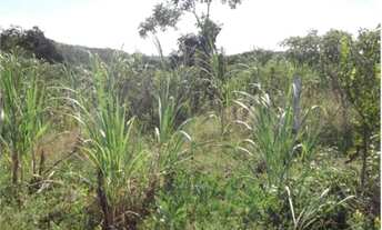 Imagem 6: Jaboticatubas 1.500 metros muita agua * WhtsAPP Guilherme