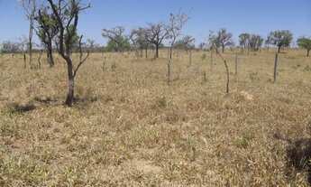 Imagem 5: Área de 20.000 m² toda plana com uma casa simples cercada. WhTSApp * Guilherme