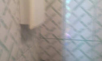 Imagem 7: Aluga-se uma casa na fazenda grande 2 R$ 350,00