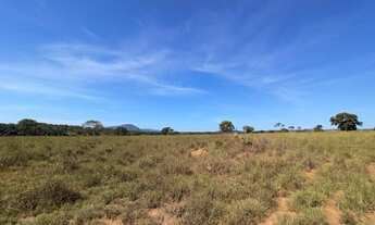 Imagem 3: Fazenda com 102 alqueires em Trombas-GO
