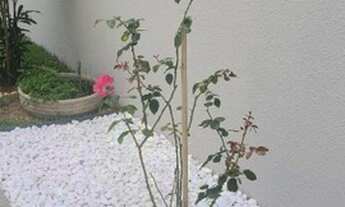 Imagem 5: Casa térrea assobradada no condomínio Esplendor