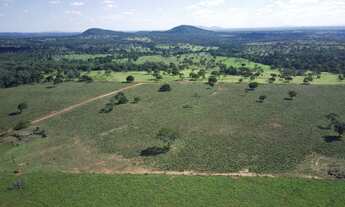 Imagem 7: Fazenda com 102 alqueires em Trombas-GO