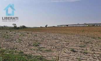 Imagem 2: Sítio em Pereiras, Oportunidade!