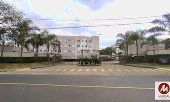 Imagem: Apartamento (tipo - padrao) 2 dormitórios