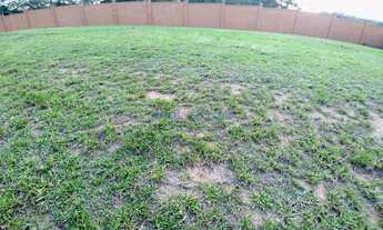 Imagem 4: Terreno - Alphaville Dom Pedro - Campinas