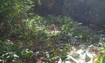 Imagem 4: LOTES DE 1.000MIL METROS ÁREA DE ARUJA BAIRRO SAO DOMINGOS..