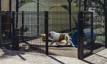 Imagem 7: Apartamento com 2 dormitórios à venda, 50 m² por R$ 280.618,64 - Costa e Silva - Joinville