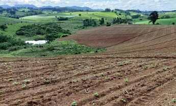 Imagem 6: Fazenda/sítios/chácaras com 3 dormitórios à venda em Pouso Alegre