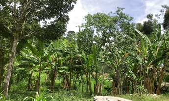 Imagem 2: Sítio em Taquaritinga do Norte