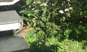 Imagem 3: SÃO PAULO - Casa Padrão - JARDIM DA GLORIA